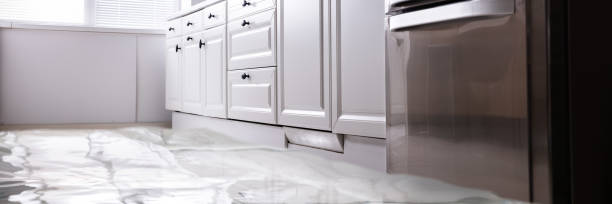 types of water damage