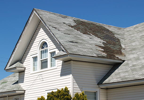 storm damage to roof in Bloomington