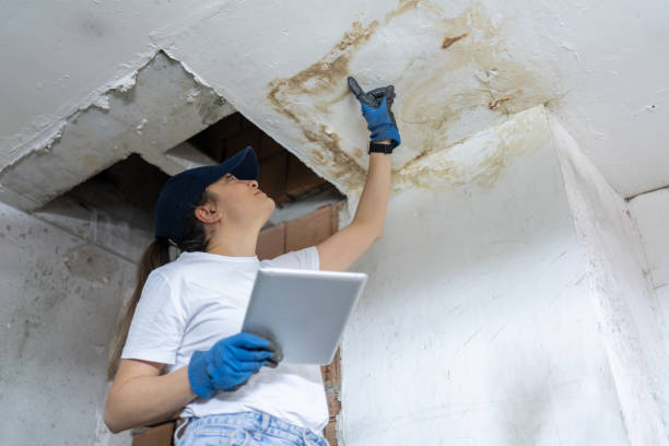 Water Damage in Bloomington Homes