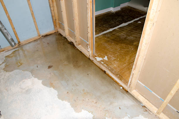 Basement Flood Clean Up in Bloomington