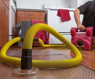 water mitigation in Lexington