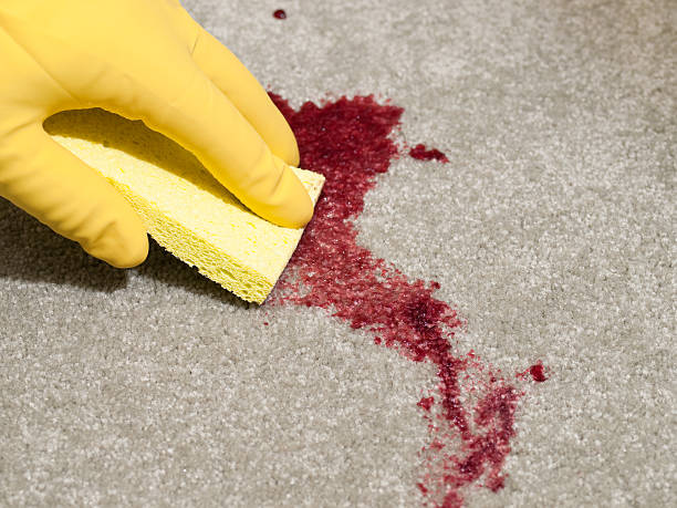 blood cleanup services in Bloomington.
