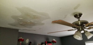 roof leak water damage repair needs water mitigation services in Lexington