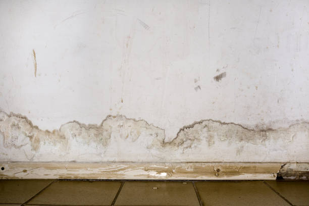drywall leak repair