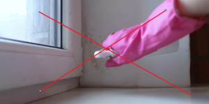 Mold Remediation Service in Ellsworth