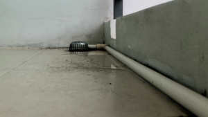 Sewage Backup Cleanup