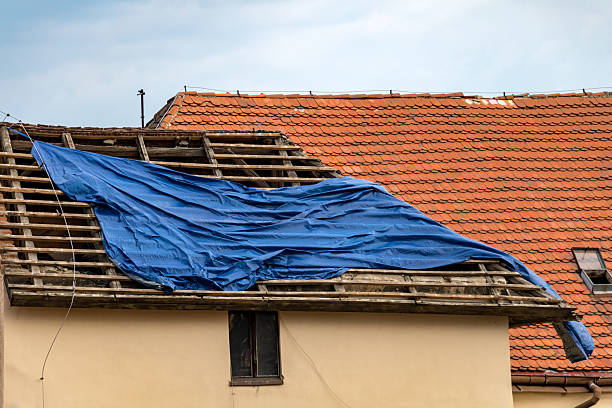 A blue tarp covers a damaged house roof with exposed wooden rafters next to an orange tiled roof.