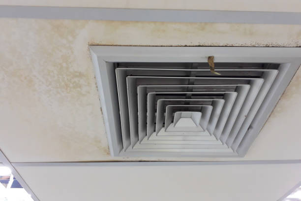 A ceiling air vent is surrounded by widespread water damage and dark mold growth. TITLE: