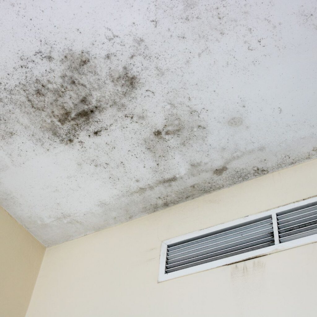 mold on ceiling