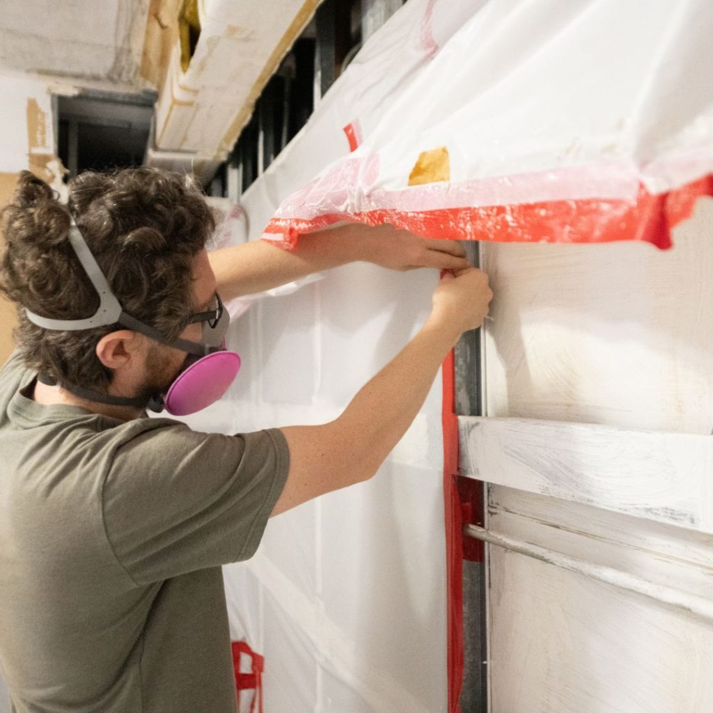 mold professional at work