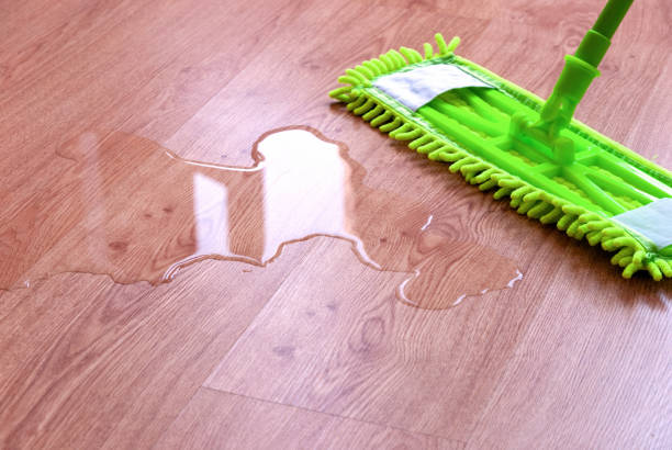best water damage company myrtle beach