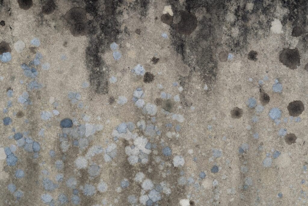 Mold exposure