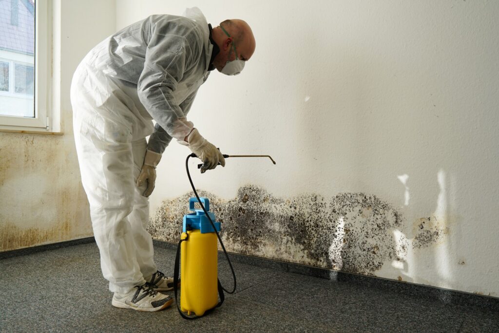 Black Mold Exposure Symptoms