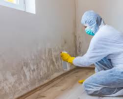 Mold Remediation