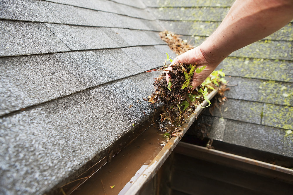 Roof maintenance