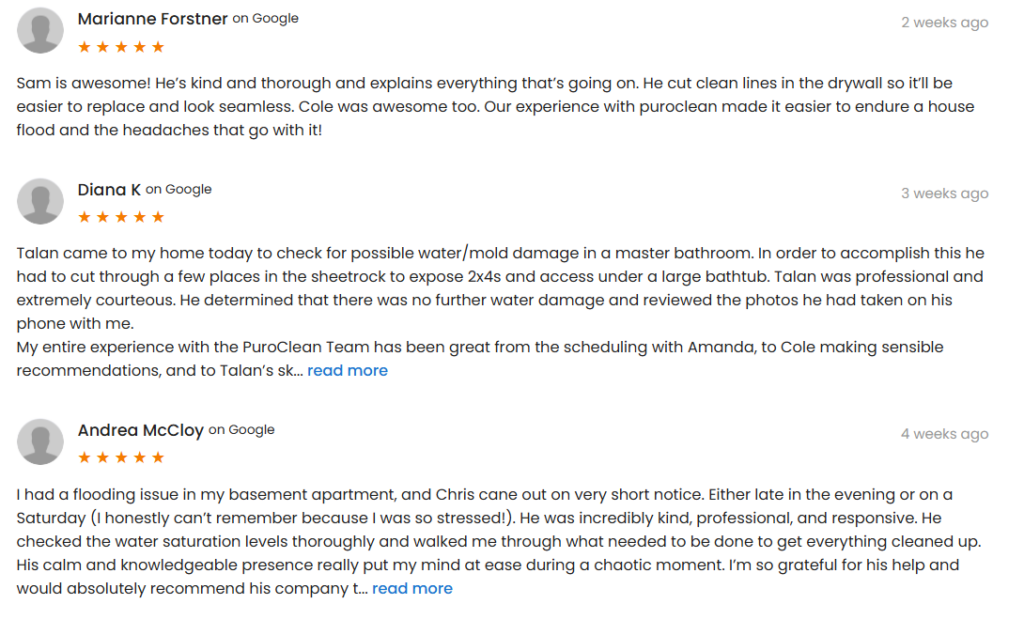 PuroClean of Bluffdale Reviews