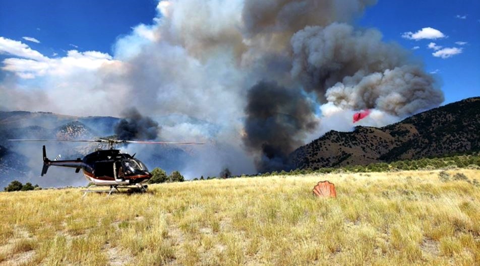 Wildfire smoke & ember damage