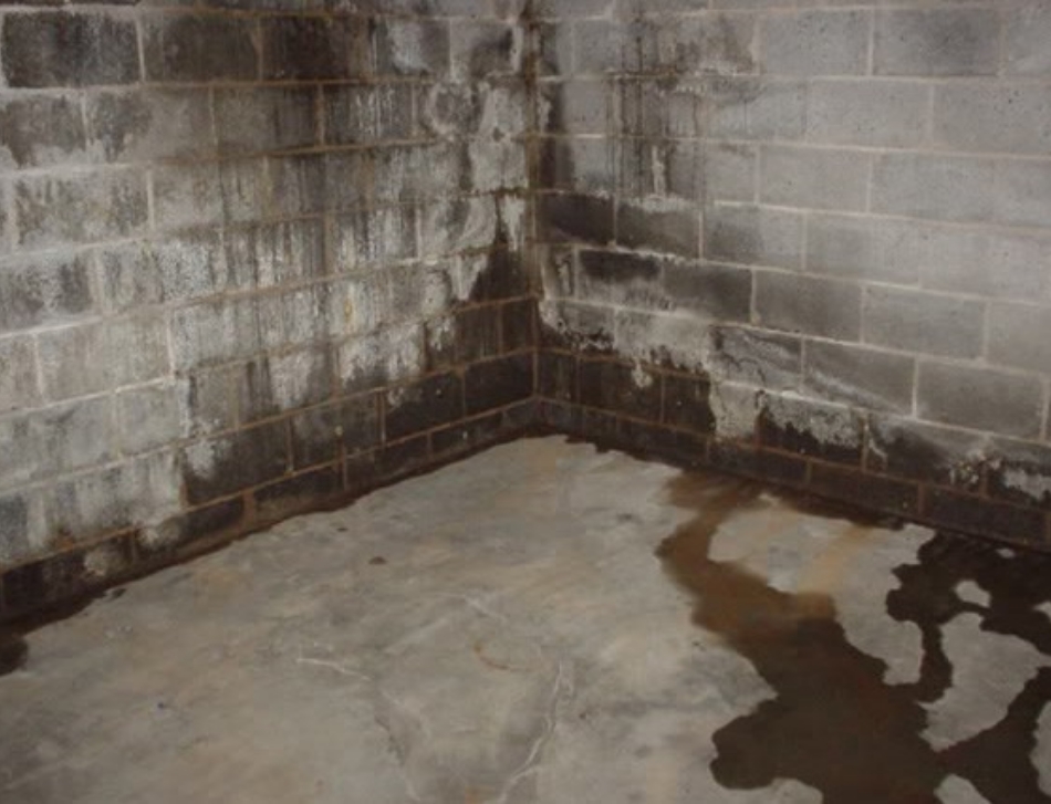 January water damage Salt Lake City