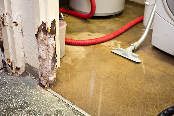 water damage restoration service in bluffdale