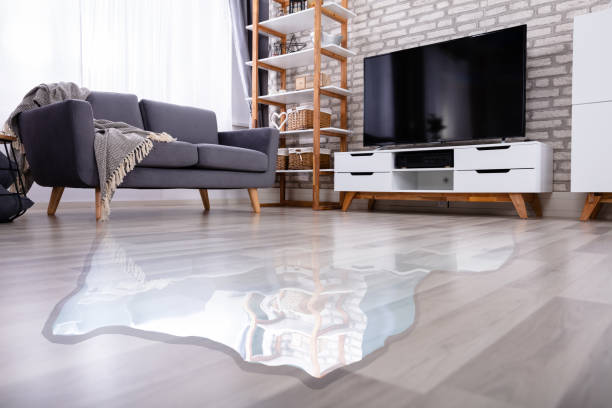 best water damage restoration company in bluffdale