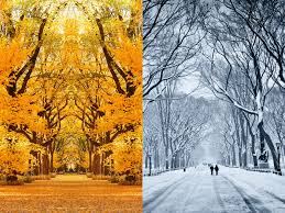 Fall and winter