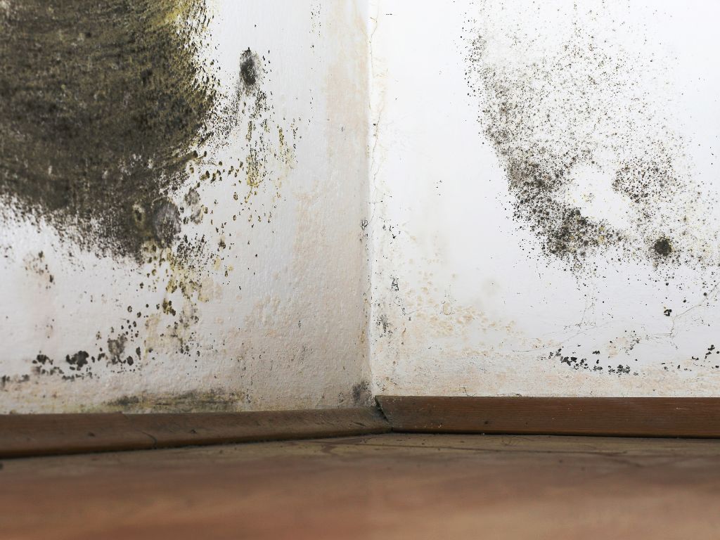 Stop mold