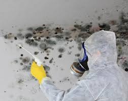 Mold Remediation in Salt Lake City