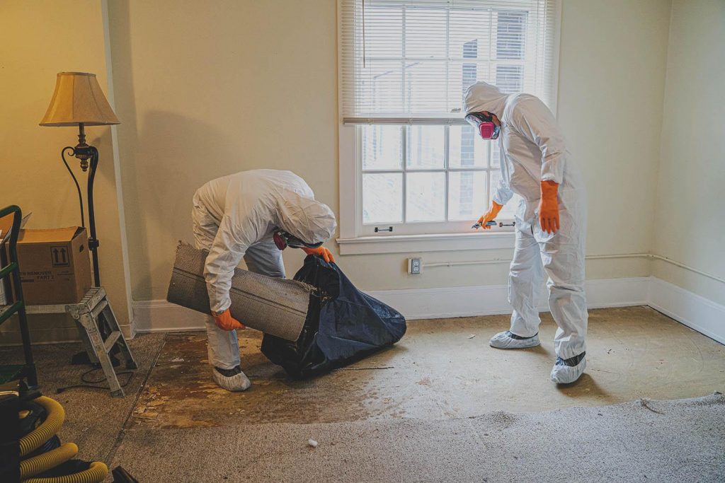 Biohazard cleanup