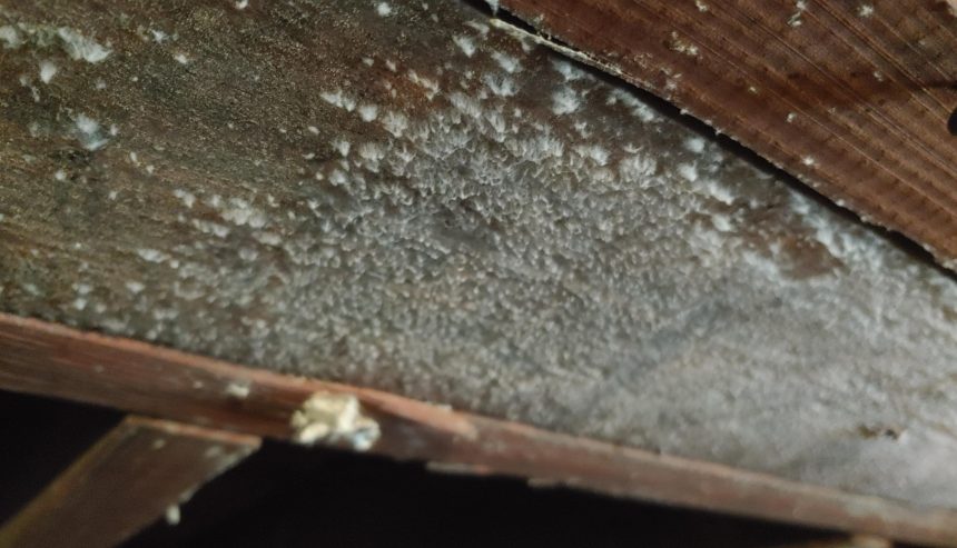 Crawl space and basements