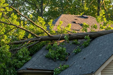Summer Property Damage