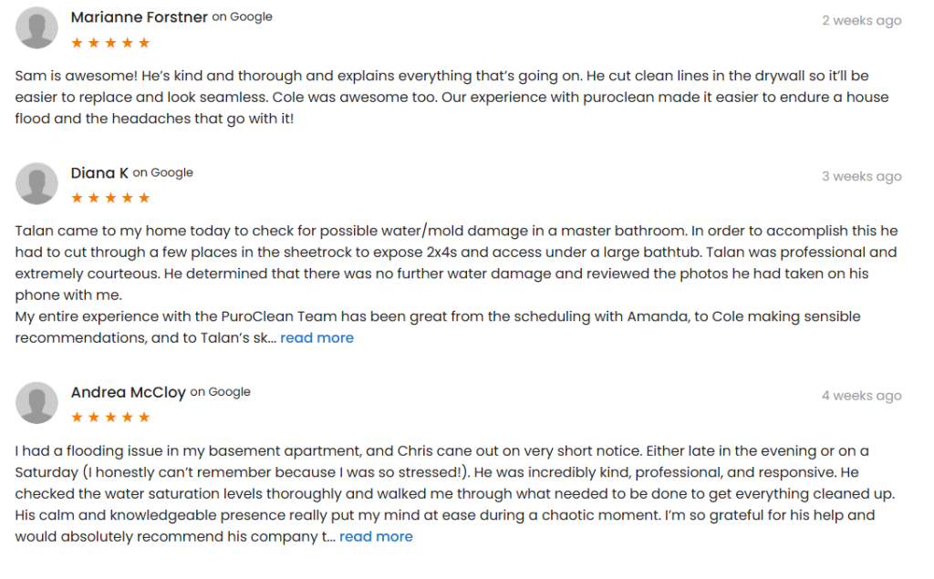 PuroClean of Bluffdale Reviews