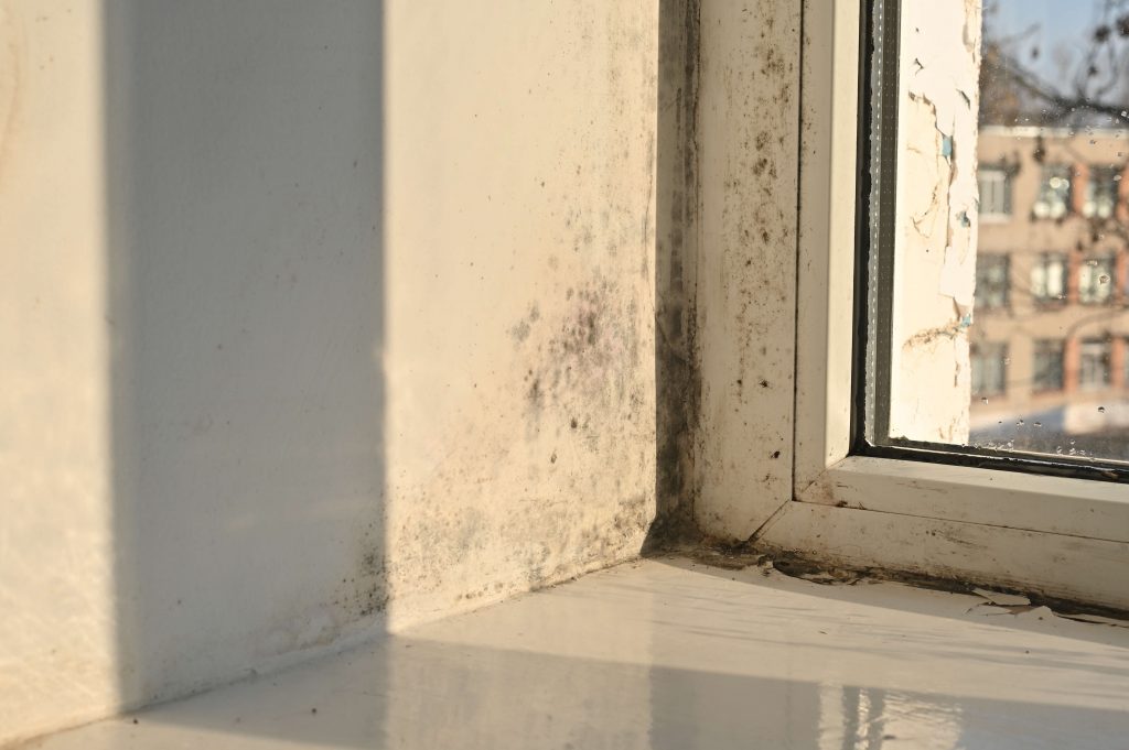 Mold exposure