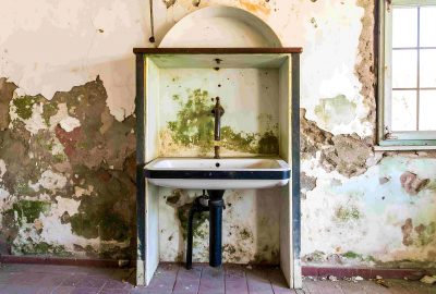 Winter mold in Salt Lake City