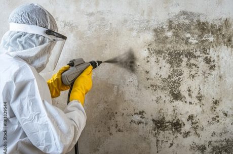 Black Mold Exposure Symptoms