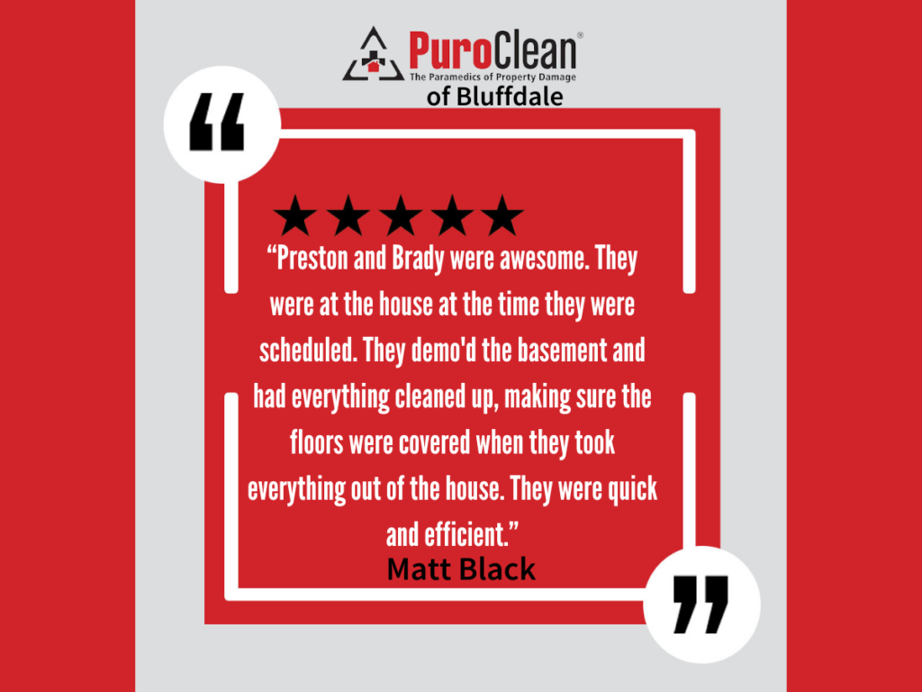 PuroClean review