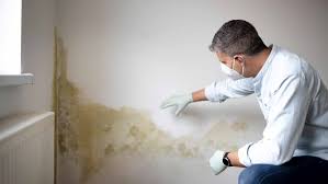 Mold Fatigue Symptoms