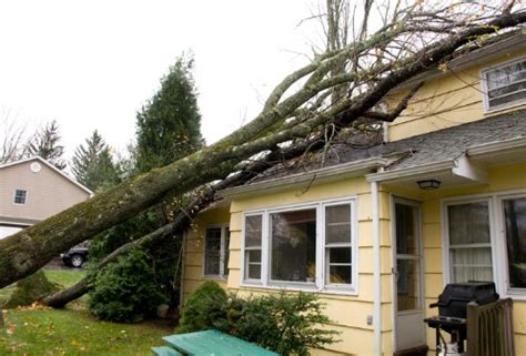Home restoration