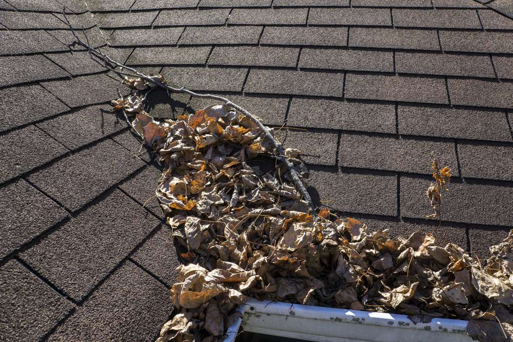 Roof Maintenance