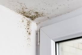 Stop mold