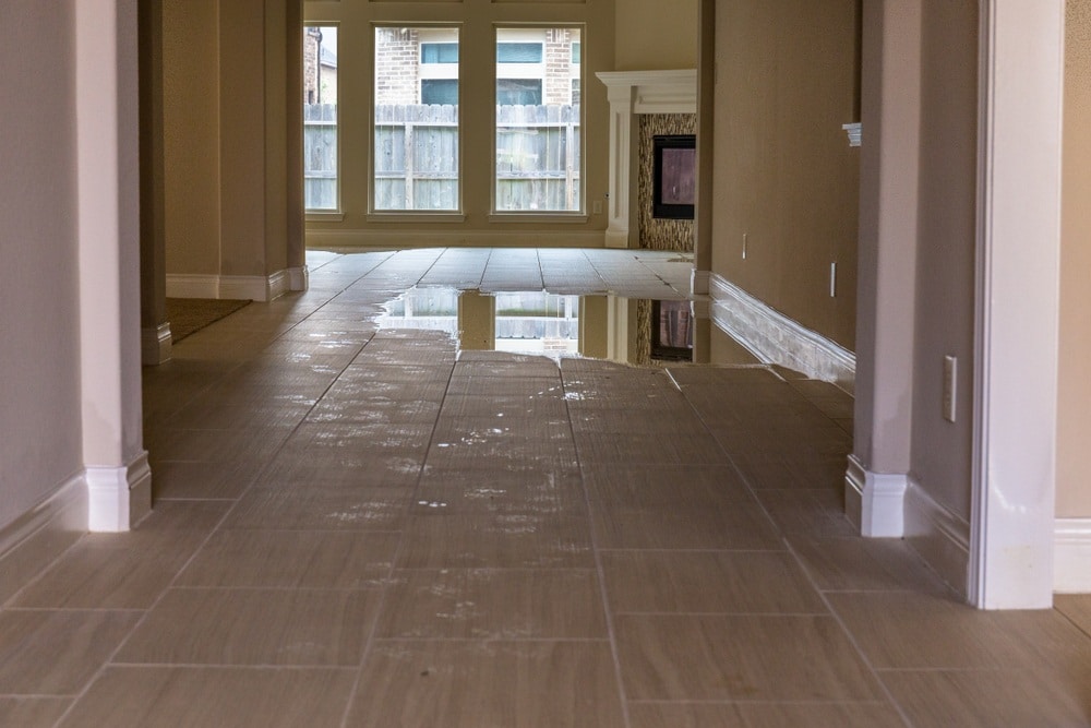 hidden water damage signs