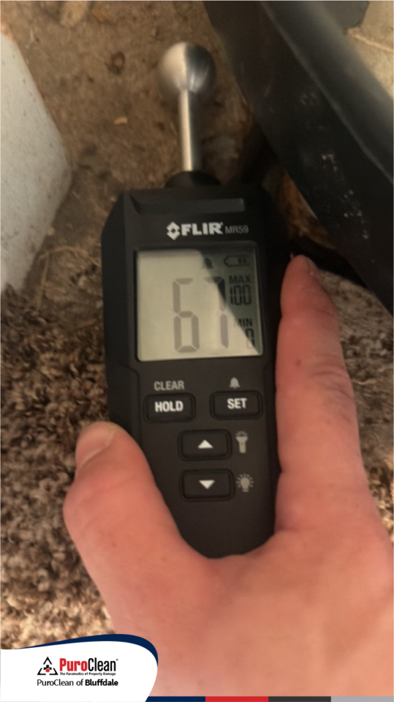 Mold remediation in Salt Lake City