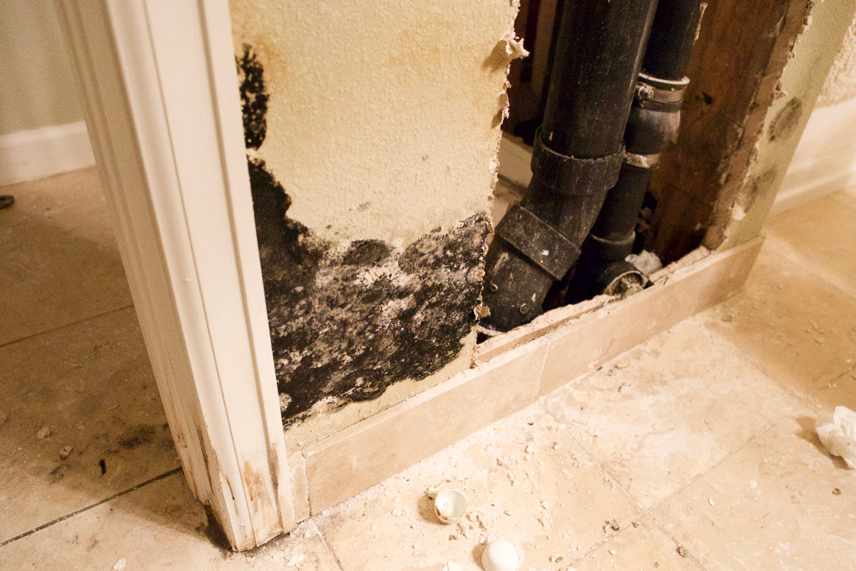 Mold infestation in a second home.