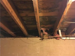 Mold on the structure under the kitchen.