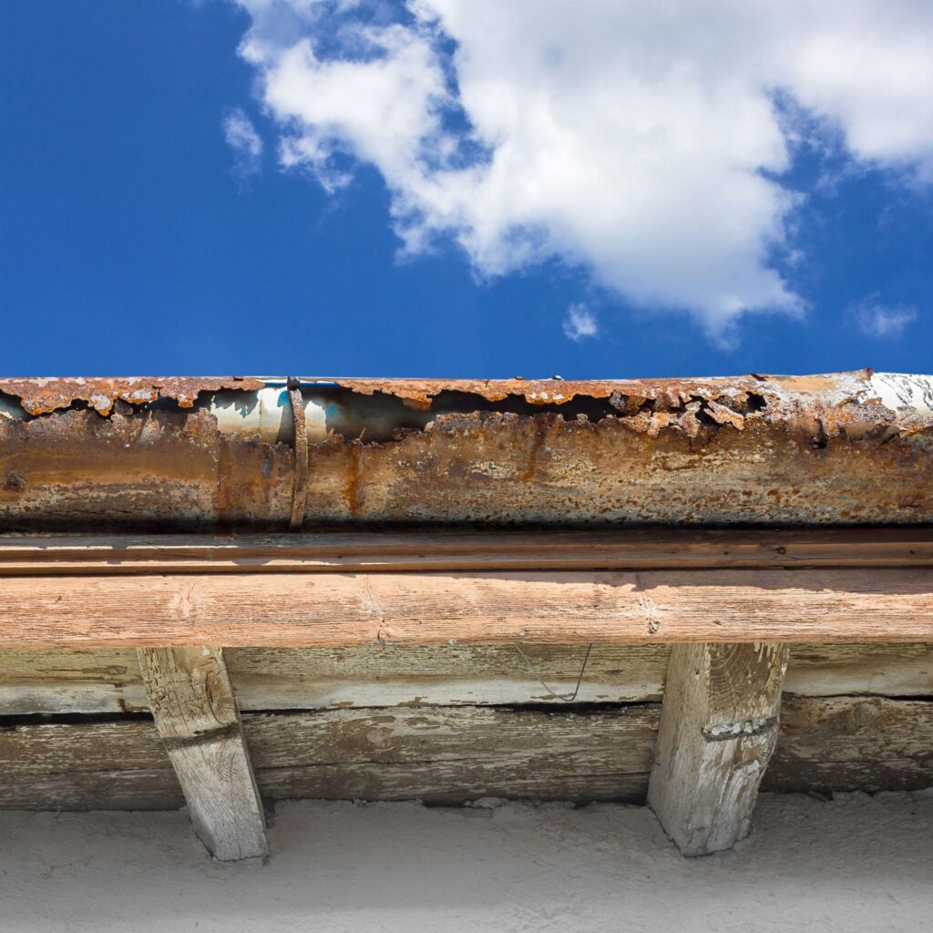 Sarasota Water Damage