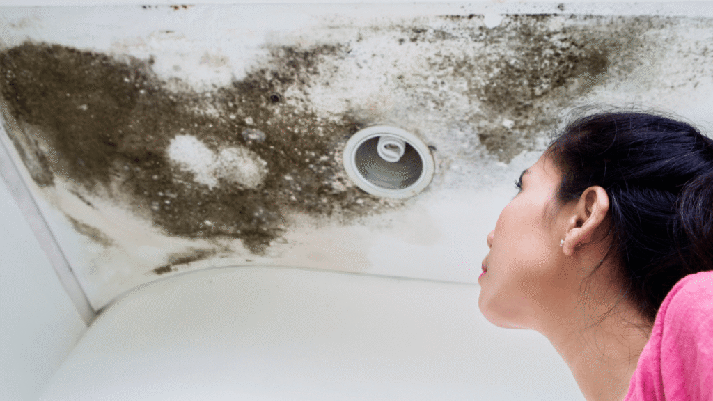 Hazards of Mold