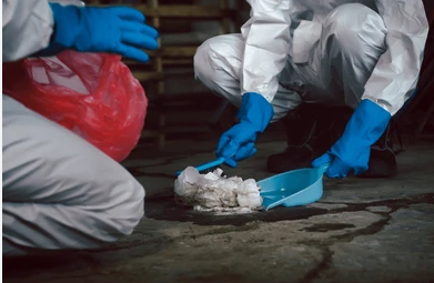 Professional hoarding cleanup services Bradenton FL technician safely handling biohazardous materials