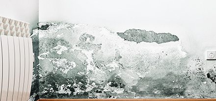 mold damage moisture staining