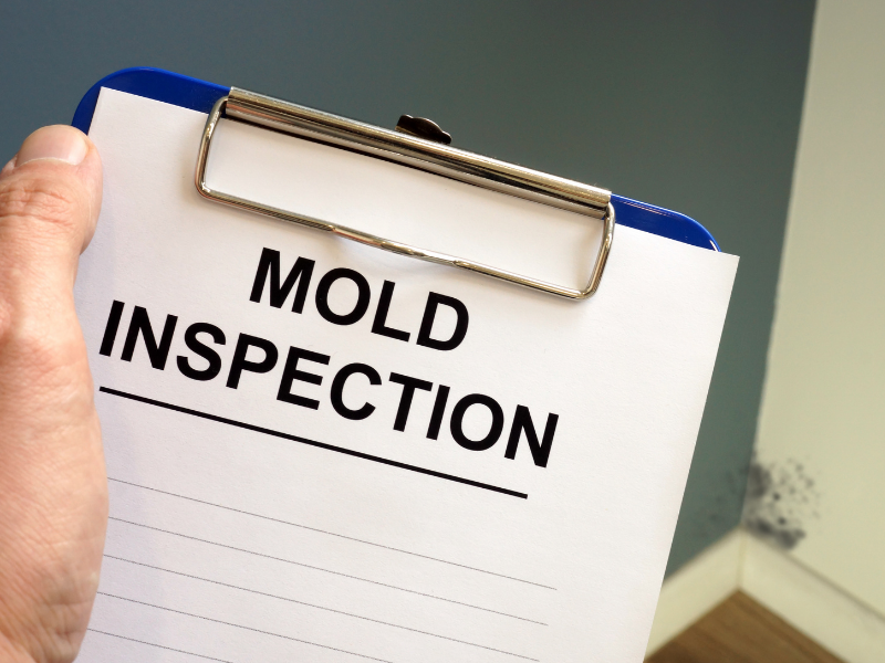Mold inspection