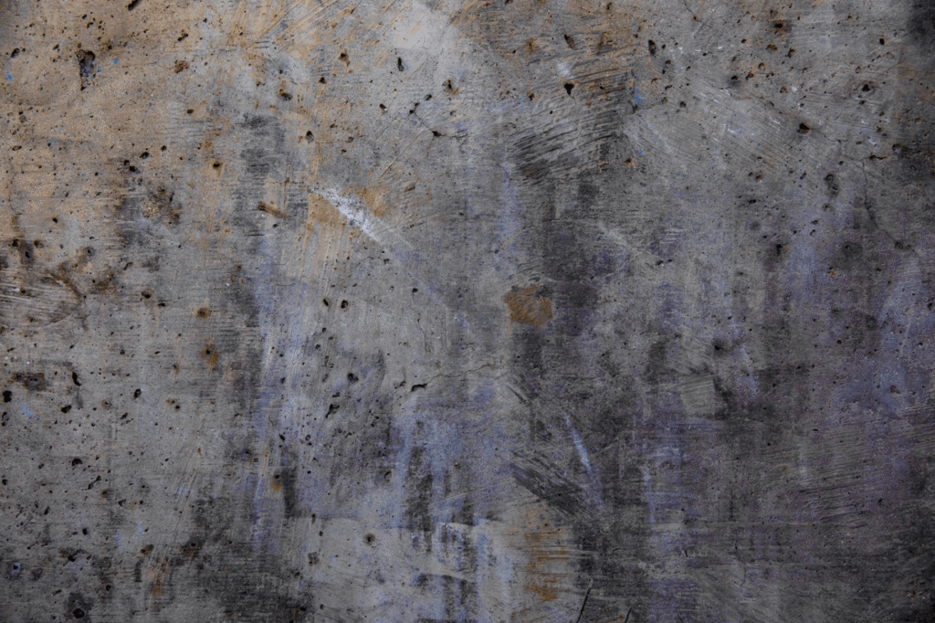 mold inspection Bradenton fl