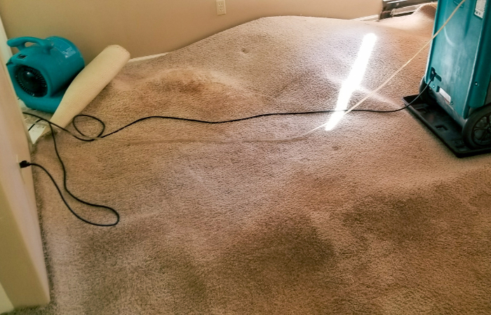 Repairing water damage